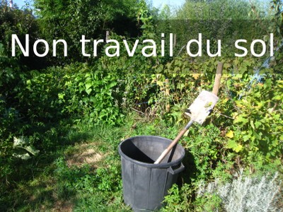 TAE5 nonTravailDuSol.jpg