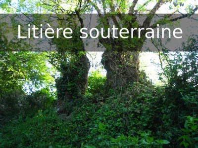 FN2 litiereSouterraine.jpg