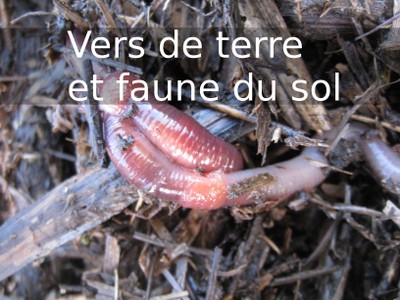 V3 versDeTerre.jpg