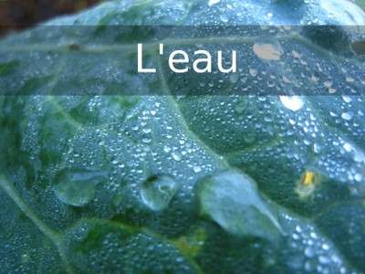 N2 eau.jpg