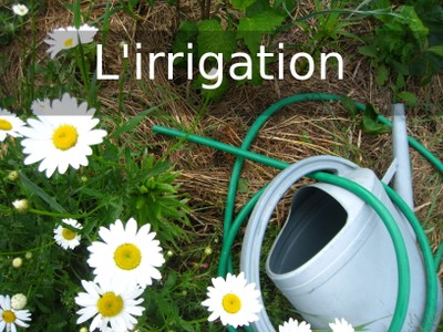TAN2 irrigation.jpg