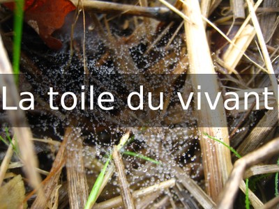 Titre.jpg