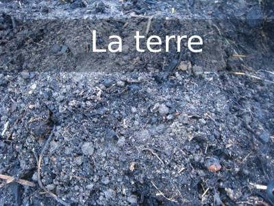 N3 terre.jpg
